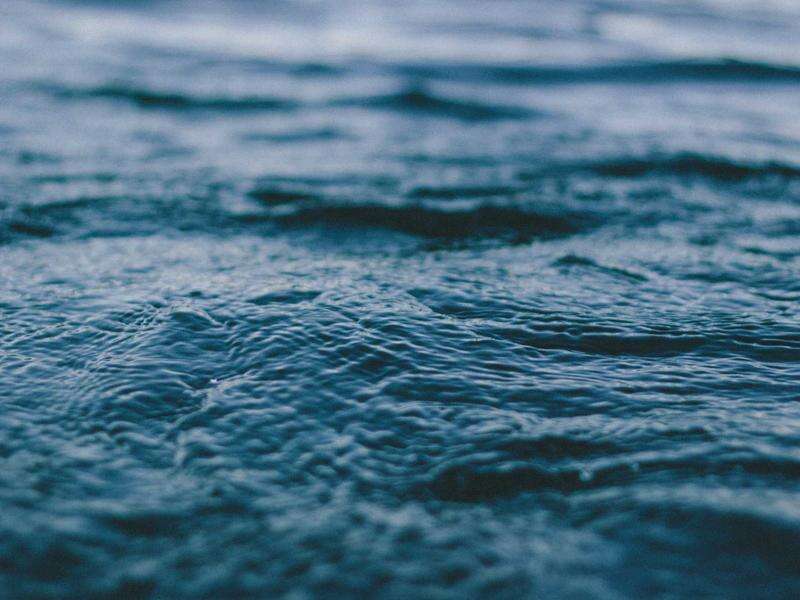 海运常见问题