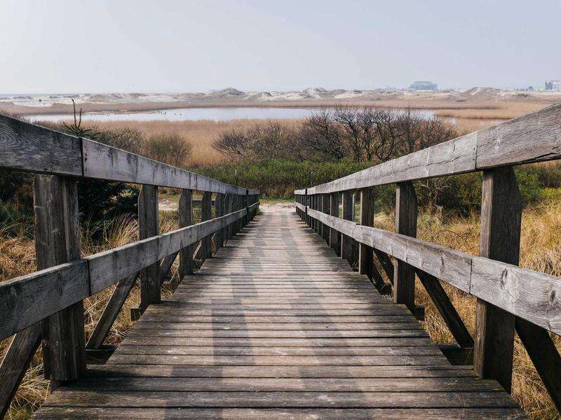 海运常见问题